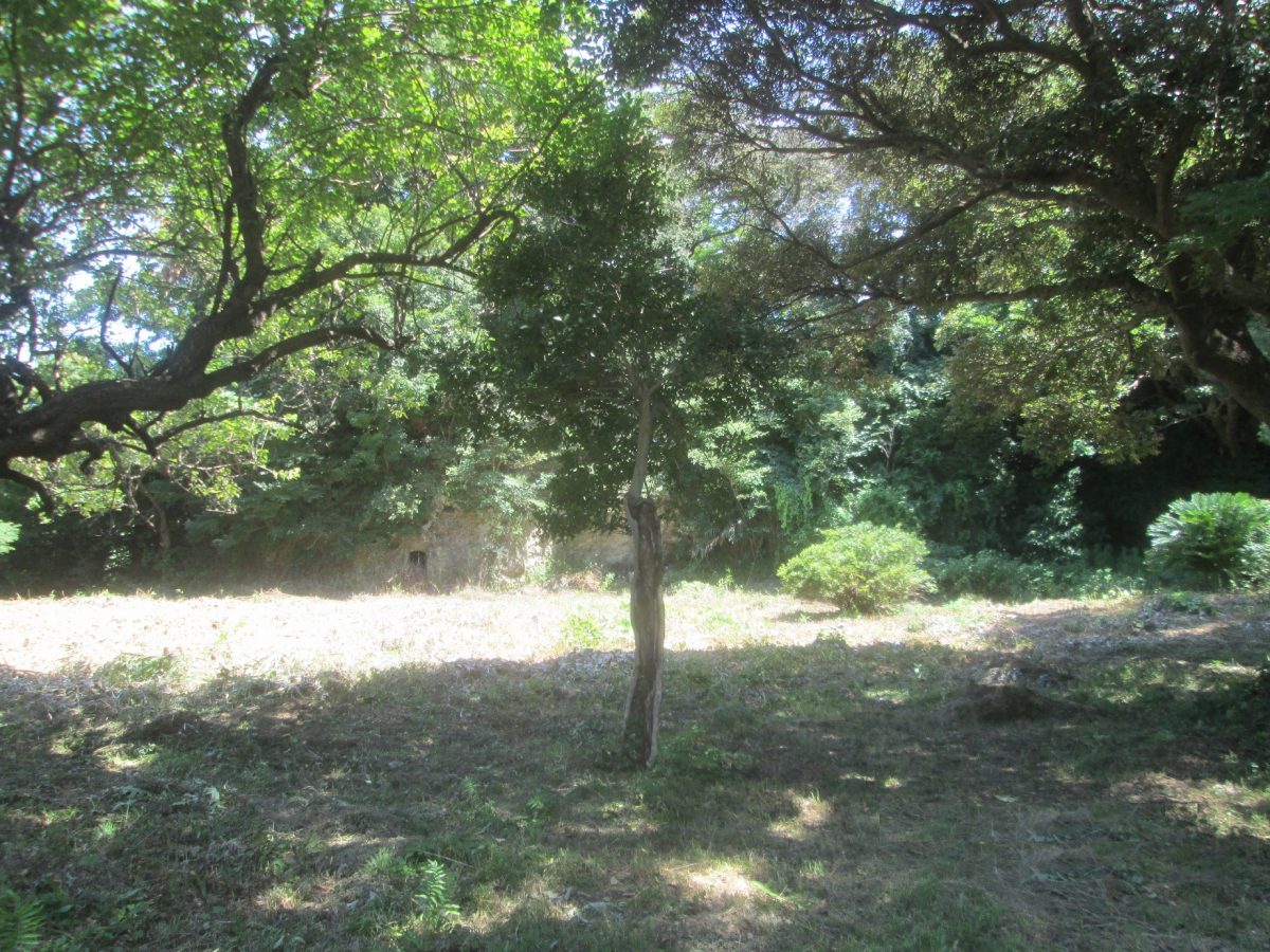 東勝寺跡 kcntripkamakura